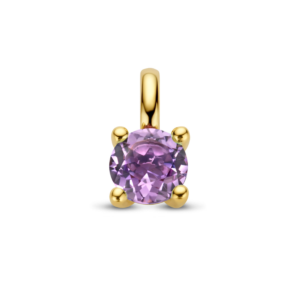 hanger amethist 14K geelgoud