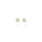 Ohrstecker Lab grown Diamant 0,30ct (2x 0,15ct) G VS 4 mm 14K Gelbgold