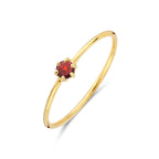 Ring mit Geburtsstein Granat Januar 14K Gelbgold