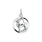 hanger sterrenbeeld gediamanteerd zilver wit