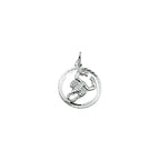 hanger sterrenbeeld gediamanteerd zilver gerhodineerd