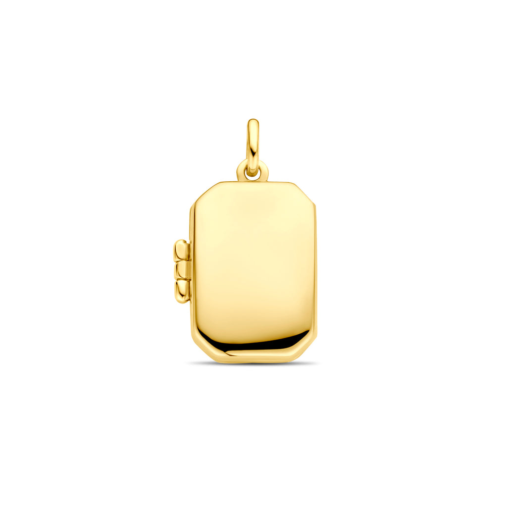 medaillon 18,5 mm 14K geelgoud