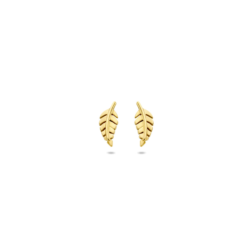 Ohrstecker Feder 8 mm 14K Gelbgold