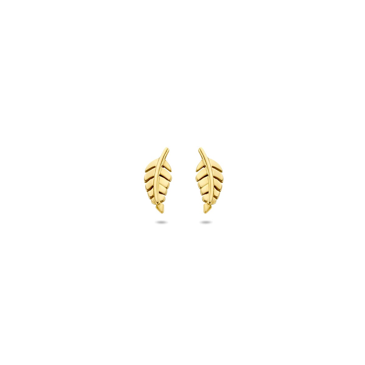 Ohrstecker Feder 8 mm 14K Gelbgold