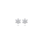 Ohrstecker Stern Zirkonia Halo 6 mm Silber rhodiniert