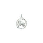 hanger sterrenbeeld gediamanteerd zilver gerhodineerd