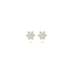 oorknoppen lab grown diamant 0.75ct (2x 0.375ct) f vs 4,5 mm 14K geelgoud