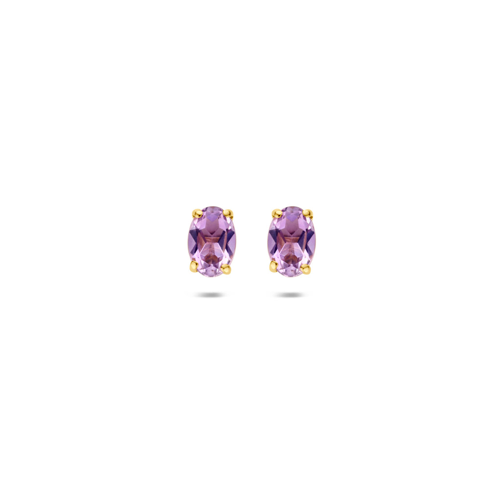 9k oorknoppen amethist 6 mm 9K geel