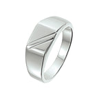 ring poli/mat zilver wit