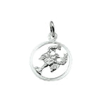 hanger sterrenbeeld gediamanteerd zilver wit