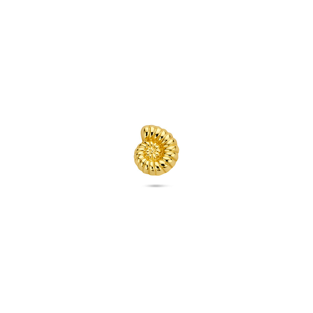 Flat Back Piercing Muschel 6 mm 1 Mikron Silber vergoldet (gelb)