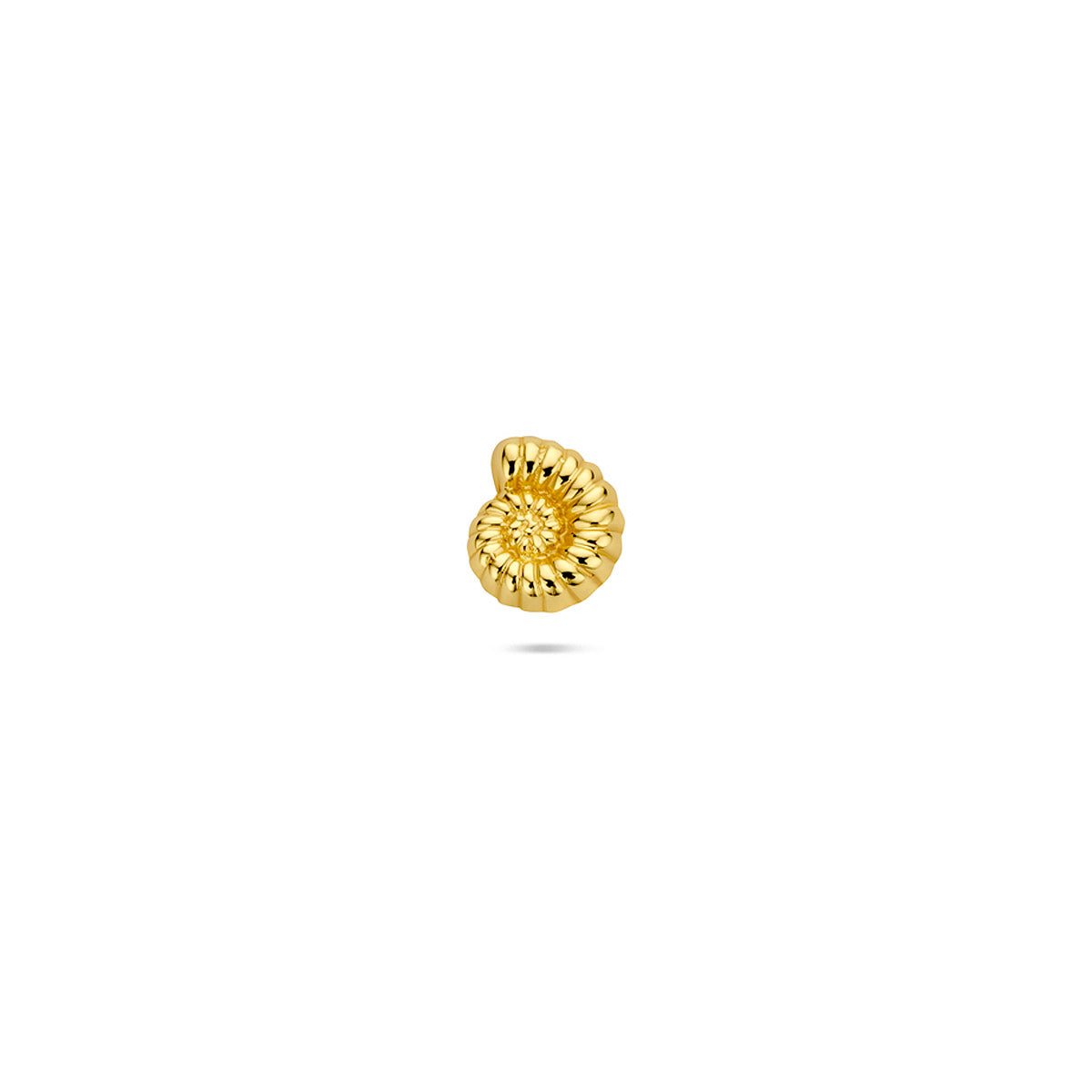 Flat Back Piercing Muschel 6 mm 1 Mikron Silber vergoldet (gelb)