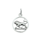 hanger sterrenbeeld gediamanteerd zilver wit