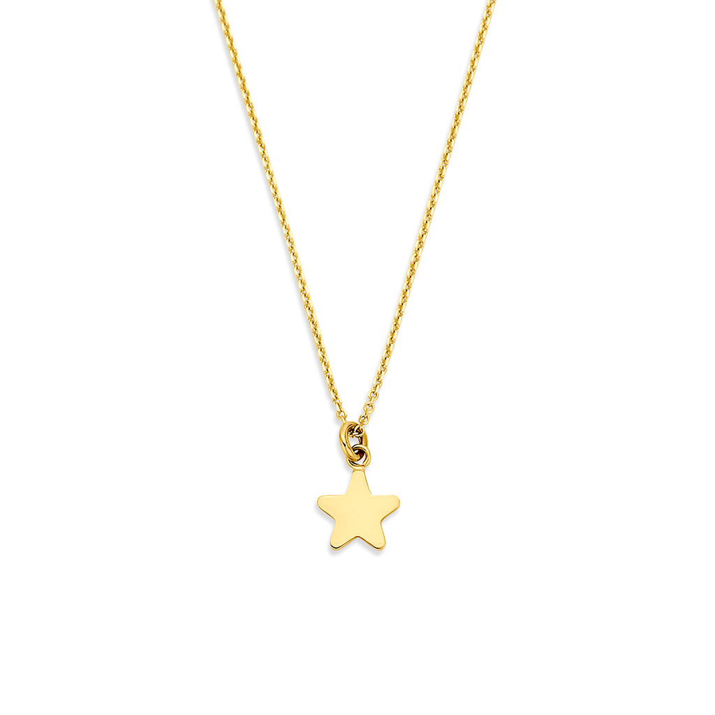 collier ster 40 - 42 - 44 cm 14K geelgoud