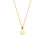 collier ster 40 - 42 - 44 cm 14K geelgoud