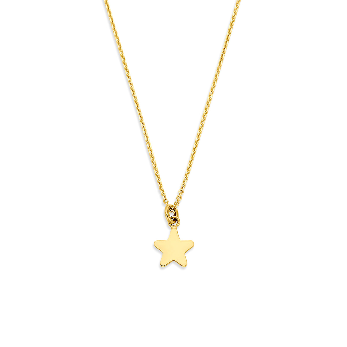 collier ster 40 - 42 - 44 cm 14K geelgoud