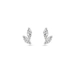 oorknoppen zirkonia zilver gerhodineerd