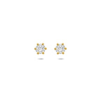 oorknoppen lab grown diamant 0.50ct (2x 0.25ct) g vs 5 mm 14K geelgoud