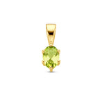 hanger met geboortesteen 14K geelgoud