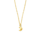 Halskette Mond 40 - 42 cm 14K Gelbgold