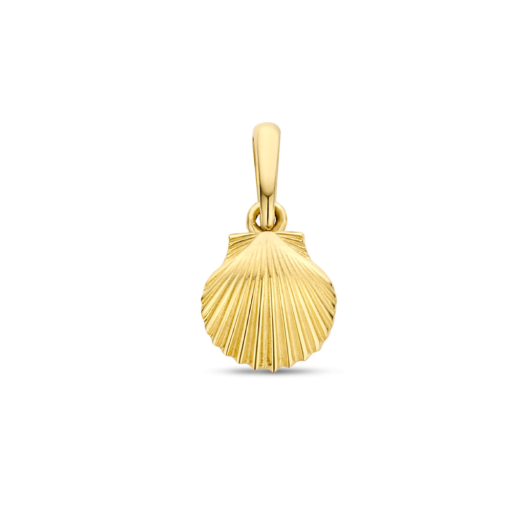 Anhänger Muschel 12 mm 14K Gelbgold