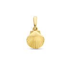 Anhänger Muschel 12 mm 14K Gelbgold