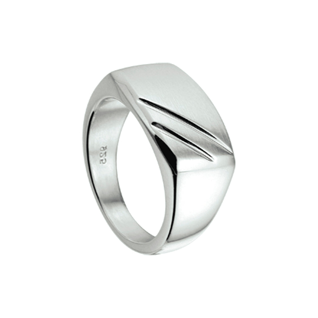 ring poli/mat zilver wit