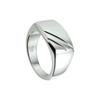 ring poli/mat zilver wit