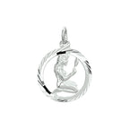 hanger sterrenbeeld gediamanteerd zilver wit