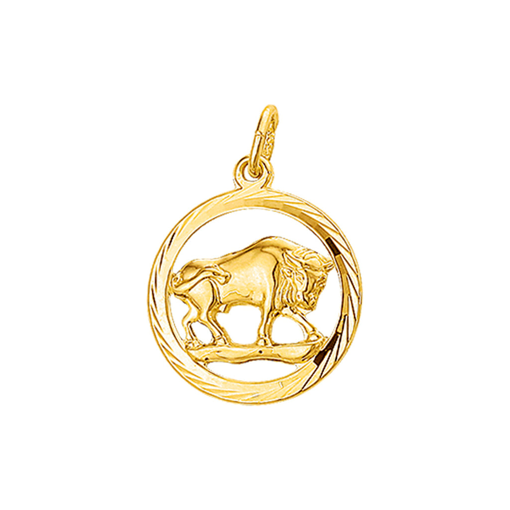 hanger sterrenbeeld gediamanteerd 14K geelgoud