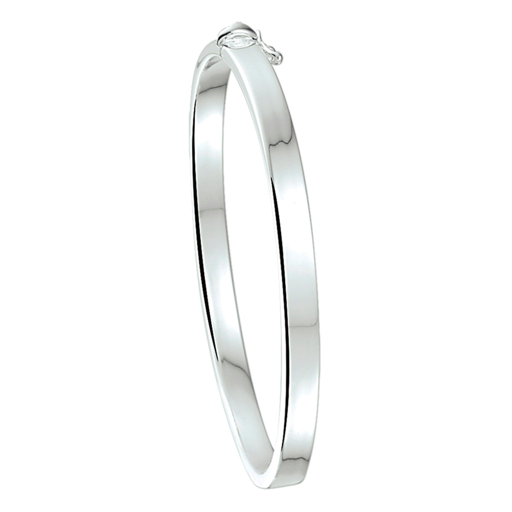 bangle scharnier 5 mm vlakke buis zilver wit