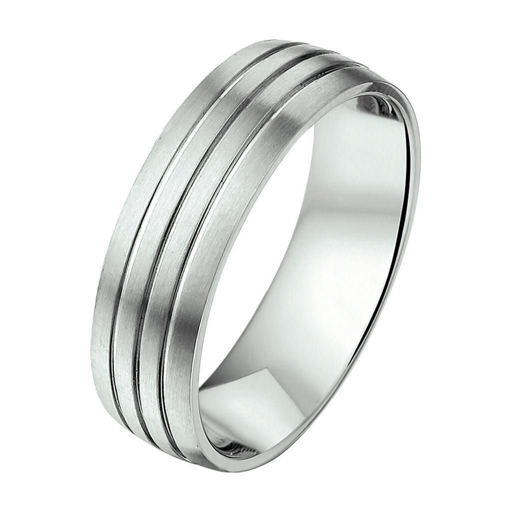 ring 6 mm zonder cz edelstaal