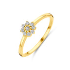 Ring Zirkonia 14K Gelbgold