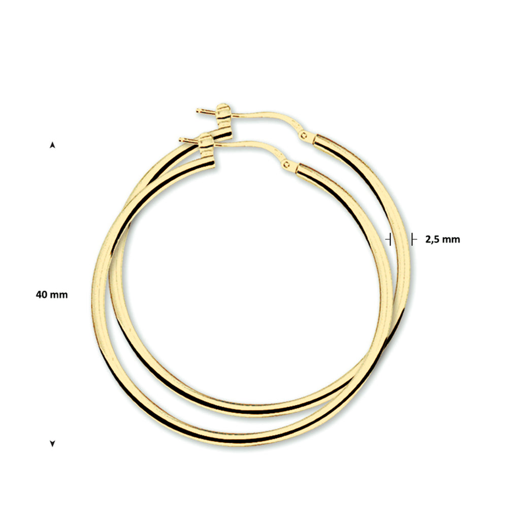Oorringen 2,5 mm ronde buis zilver verguld (geel)