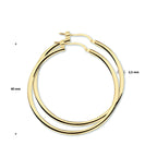 Oorringen 2,5 mm ronde buis zilver verguld (geel)