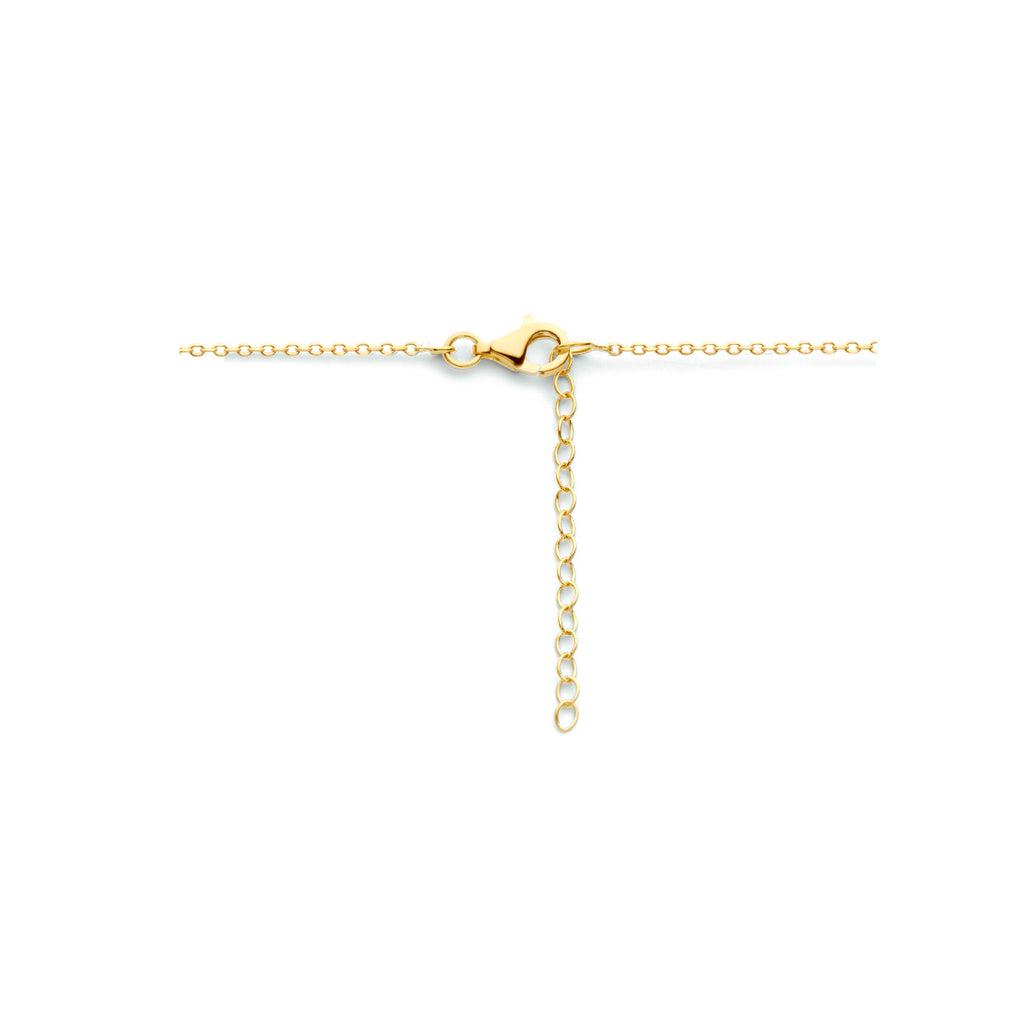 Collier rondje 41 + 4 cm zilver verguld (geel)