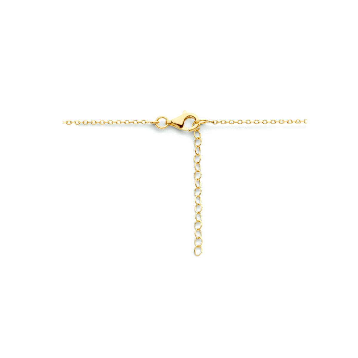 Collier rondje 41 + 4 cm zilver verguld (geel)