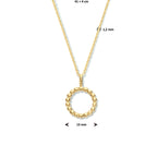 Collier rondje 41 + 4 cm zilver verguld (geel)