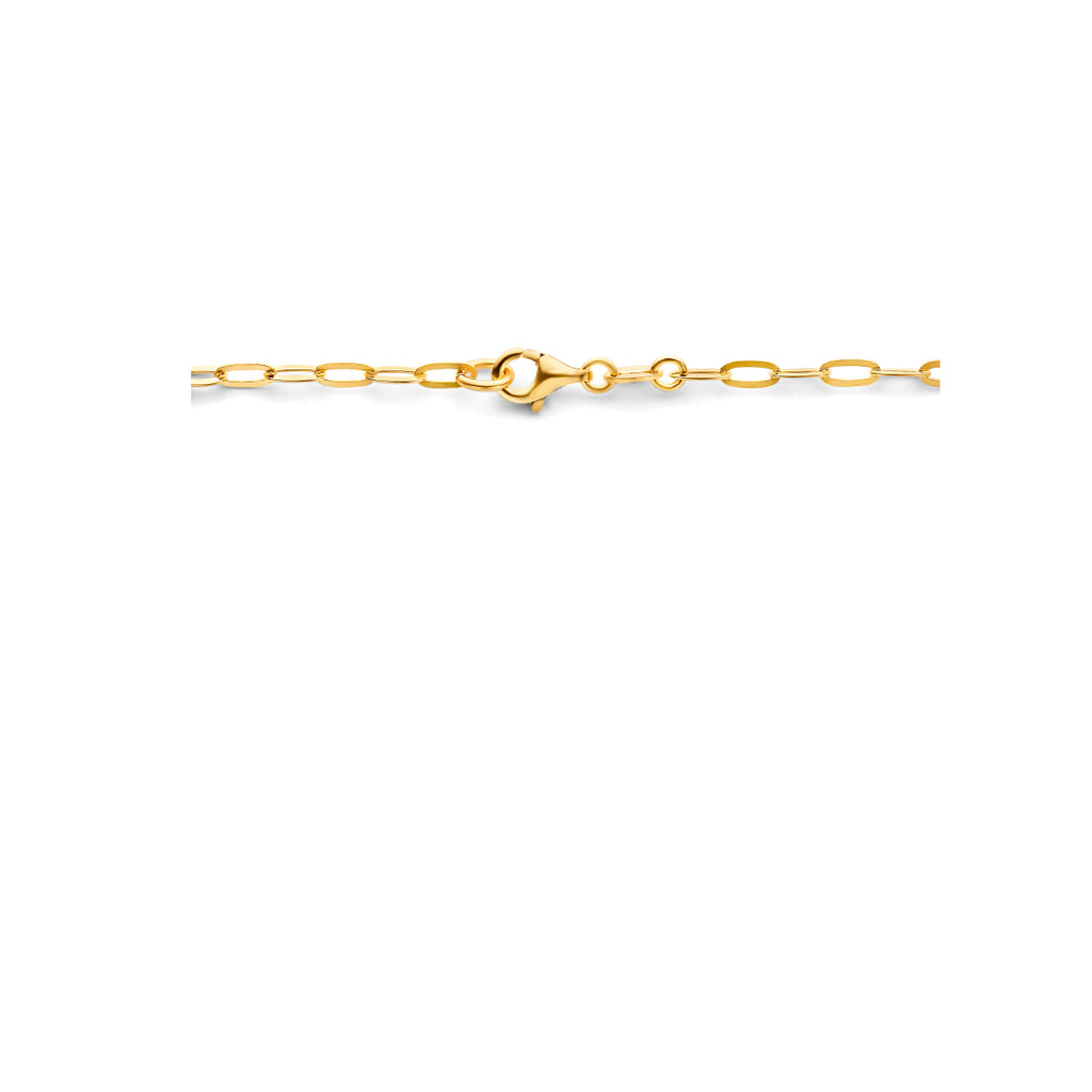 Collier paperclip platte buis 2.5 mm 1 micron zilver verguld (geel)