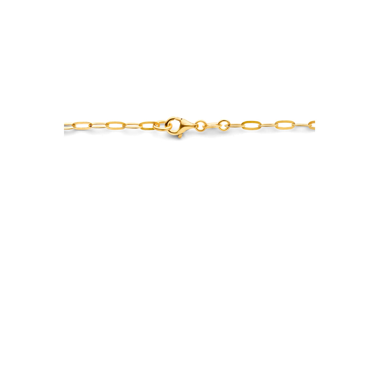 Collier paperclip platte buis 2.5 mm 1 micron zilver verguld (geel)