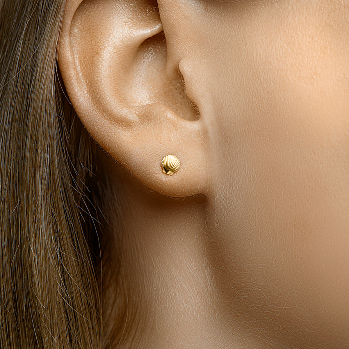 Muschel-Ohrstecker aus 14-karätigem Gelbgold