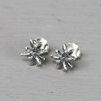 JÉH zilveren oorstekers firework