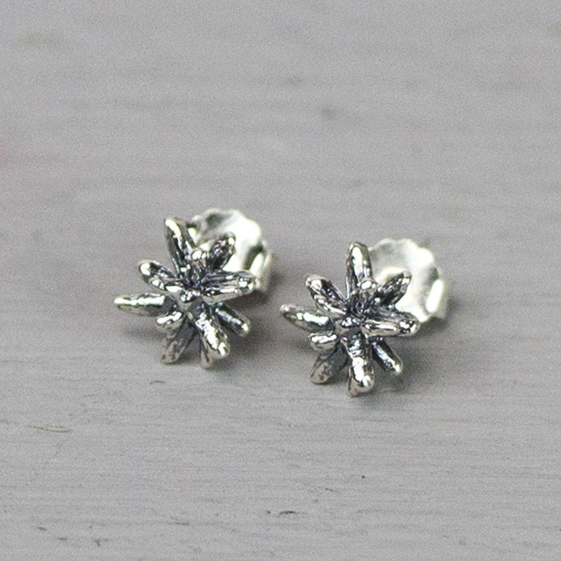 JÉH zilveren oorstekers firework