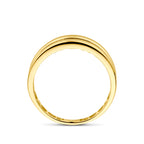 ring zirkonia 14K geelgoud