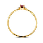 Ring Trilogie Granat und Diamant 0,006ct H P1 14K Gelbgold