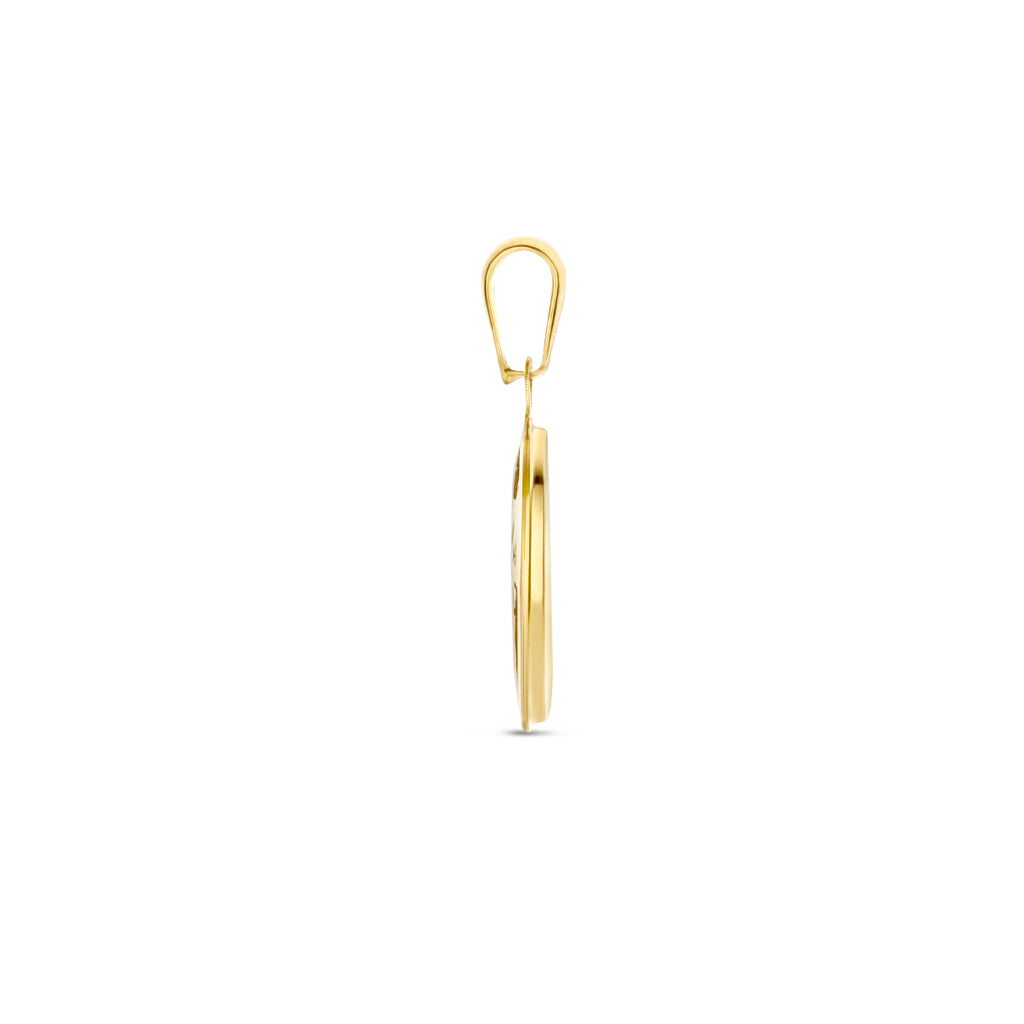 hanger wereldbol parelmoer 14K geelgoud
