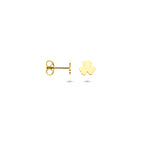 Ohrstecker Kleeblatt 5 mm 14K Gelbgold