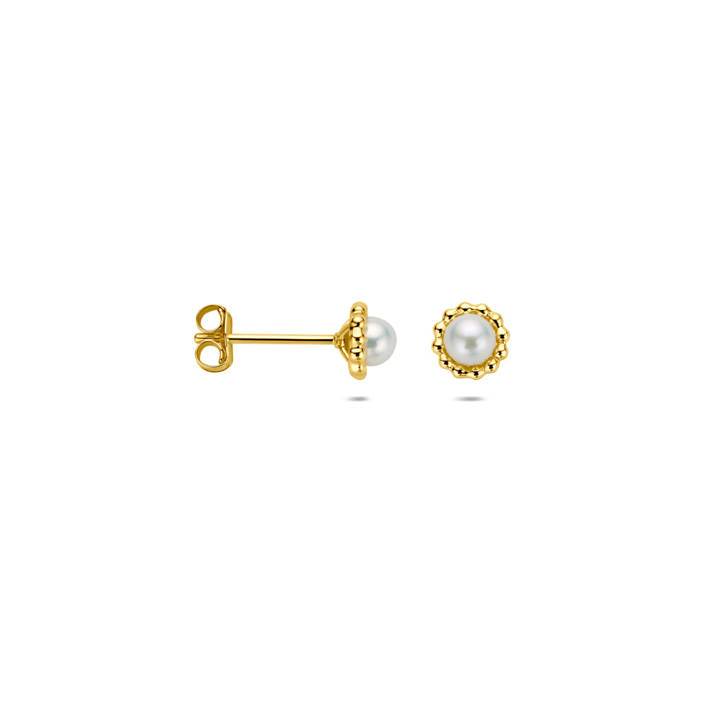oorknoppen parel 5,5 mm 14K geelgoud