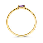 ring met geboortesteen amethist juni 14K geelgoud