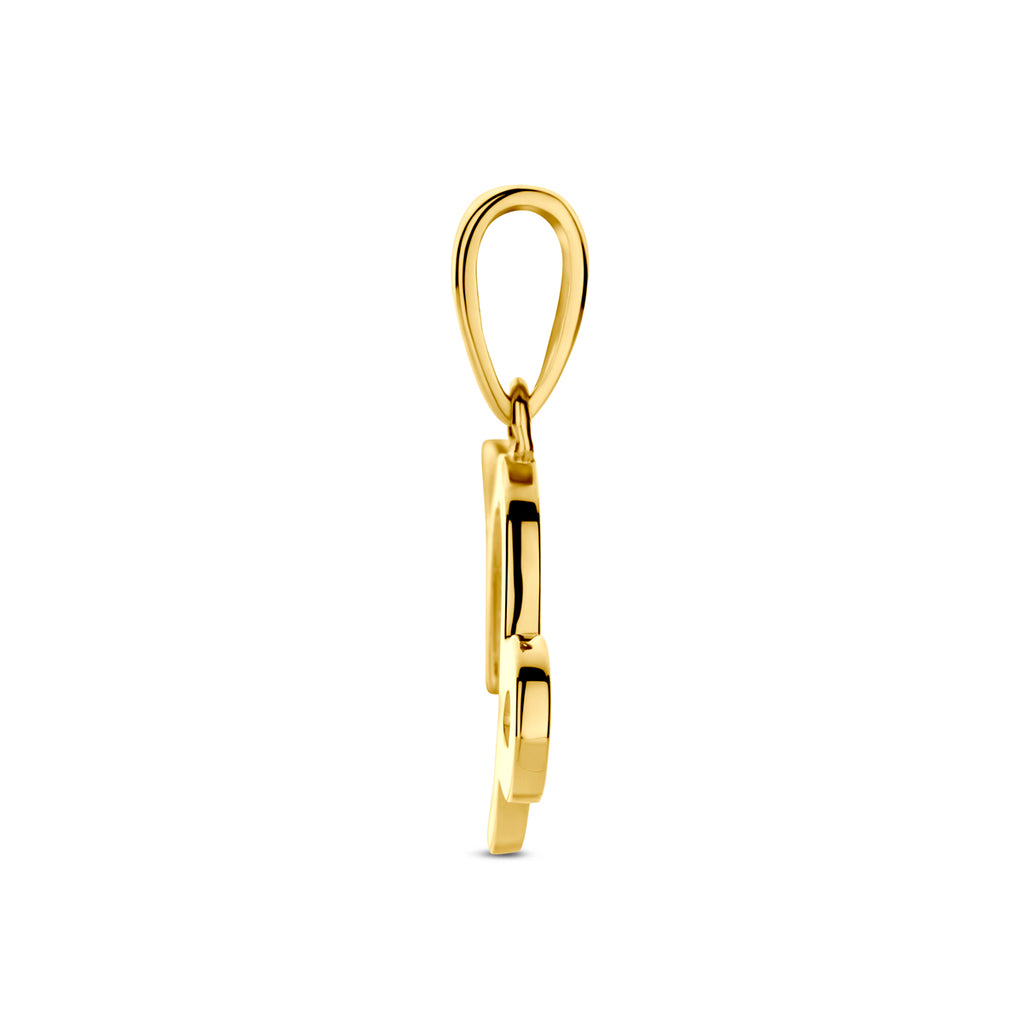 hanger sterrenbeeld 14K geelgoud
